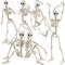 6 Pcs 16IN Halloween Skeleton Decoration, Large Full Body Posable Halloween Hanging Skeleton Decor for Indoor Outdoor Decoration